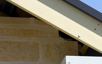 soffit repair Donaghadee
